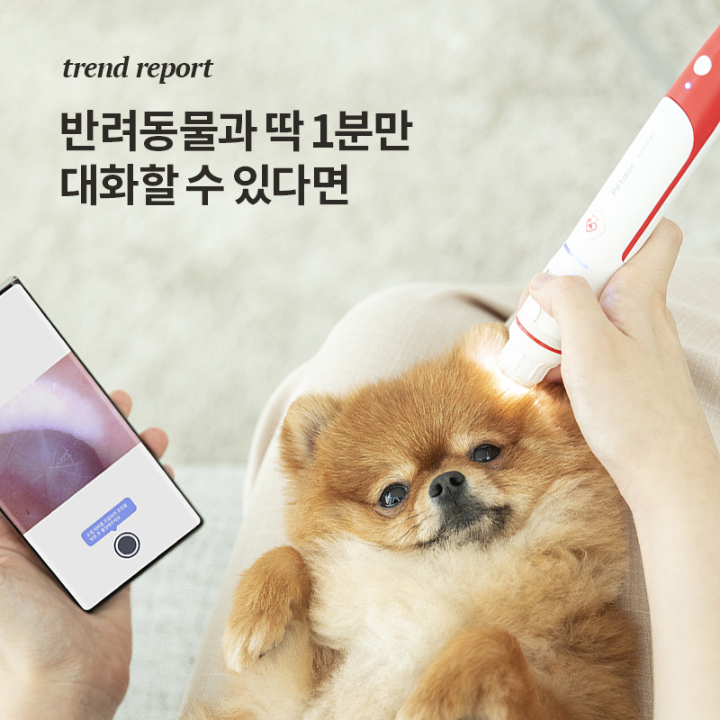 반려동물과 딱 1분만 대화할 수 있다면